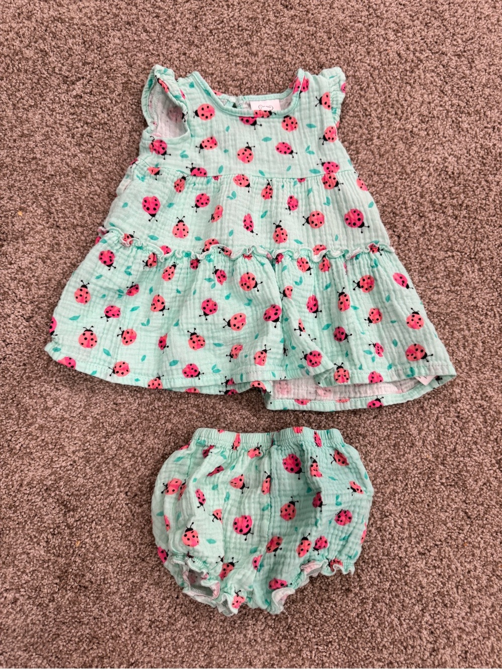 Koala Kids Mint Dress & Bloomers with Pink Ladybug Print